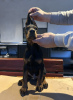 Photos supplémentaires: Chiots Dobermann à vendre