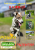 Photo №1. chien bâtard - à vendre en ville de Москва | Gratuit | Annonce №59864