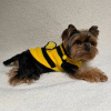 Photo №1. yorkshire terrier - à vendre en ville de Auckland | négocié | Annonce №42678