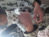 Photo №4. Je vais vendre british shorthair en ville de Chelyabinsk. annonce privée - prix - 86€