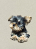 Photo №4. Je vais vendre yorkshire terrier en ville de Tbilissi. annonce privée - prix - négocié