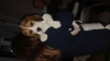 Photo №1. beagle - à vendre en ville de Treviso | 300€ | Annonce №96088