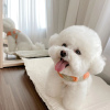 Photo №1. bichon à poil frisé - à vendre en ville de Stockholm | négocié | Annonce №77499