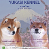 Photo №1. shiba - à vendre en ville de Истра | 1004€ | Annonce №9150