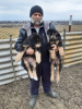 Photo №2 de l'annonce № 9471 de la vente chien bâtard - acheter à Ukraine de la fourrière