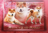 Photo №4. Je vais vendre shiba en ville de Wasilków. éleveur - prix - 2000€