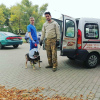 Photo №1. Services de livraison et de transportation des chats et des chiens en ville de Minsk. Annonce № 9413
