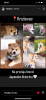 Photo №3. Chiots Akita japonais. Serbie