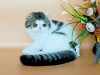 Photo №2 de l'annonce № 66015 de la vente exotic shorthair - acheter à Fédération de Russie de la fourrière, éleveur