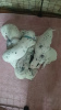 Photo №1. dalmatien - à vendre en ville de Novokuznetsk | 62€ | Annonce №52175