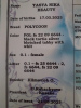 Photo №2 de l'annonce № 54419 de la vente maine coon - acheter à Biélorussie annonce privée, de la fourrière, éleveur