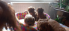 Photos supplémentaires: Cavapoo pappy génération f1