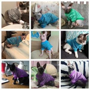 Photo №2. Vêtements pour les chiens et les chats en Fédération de Russie. Prix - 8€. Annonce № 1174