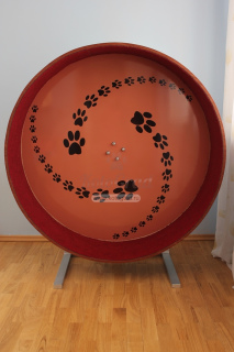 Photo №1. Wheel for cats Track devrait intéresser non seulement les villageois, mais en ville de Moscou. Prix - 271€. Annonce № 998