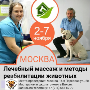 Photo №1. Services vétérinaires en ville de Moscou. Price - Négocié. Annonce № 3478