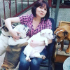 Photo №4. Je vais vendre bulldog anglais en ville de Tbilissi. de la fourrière - prix - 1256€