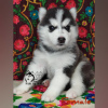 Photo №2 de l'annonce № 8145 de la vente husky de sibérie - acheter à Fédération de Russie de la fourrière