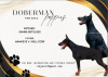 Photo №1. dobermann - à vendre en ville de Temerin | négocié | Annonce №112496