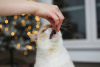 Photos supplémentaires: Tendre chaton blanc Donut en cadeau !