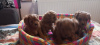 Photo №3. Cavapoo pappy génération f1. Serbie