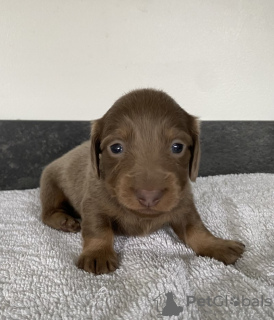 Photo №3. s'enregistrer dans la petite ville de KC. Allemagne