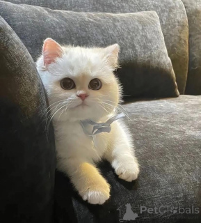 Photo №1.  - à vendre en ville de Edmundston | négocié | Annonce № 161689