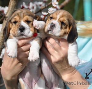 Photo №1.  - à vendre en ville de Augsbourg | négocié | Annonce №161257