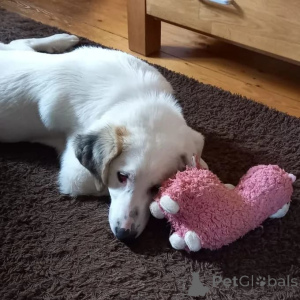 Photo №1.  - à vendre en ville de Berlin | négocié | Annonce №166540