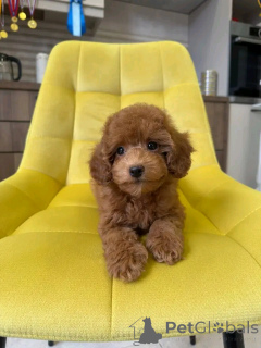 Photo №2 de l'annonce № 159556 de la vente  - acheter à Allemagne annonce privée