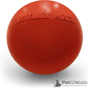 Photo №1. Balle pour chien indestructible avec des mâchoires puissantes en ville de Penza. Prix - 20€. Annonce № 7560