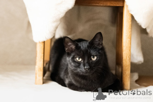 Photo №3. Lune cosmique. Biélorussie