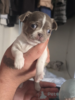 Photo №4. Je vais vendre  en ville de Bat Yam. annonce privée - prix - négocié