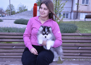 Photo №1.  - à vendre en ville de Krasnodar | 3500€ | Annonce №146696