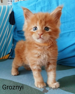 Photo №3. Natalja Galitsina. La finlande