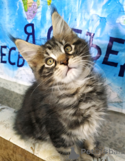 Photo №3. Des conseils de roches principales sont vendus. Fédération de Russie