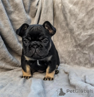 Photo №1.  - à vendre en ville de Erkrath | 350€ | Annonce №154317