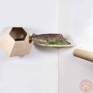 Photo №2. Meubles pour chiens et chats en Fédération de Russie. Prix - 119€. Annonce № 5277