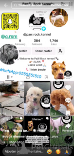 Photo №2. Hôtel pour les animaux Emirats Arabes Unis. Price - négocié. Annonce № 145660