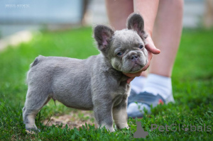 Photo №4. Je vais vendre  en ville de Батуми. annonce privée - prix - 1169€