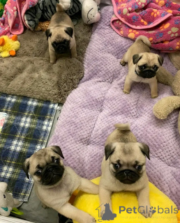 Photo №1. carlin - à vendre en ville de Helsinki | 450€ | Annonce №161020