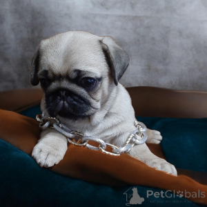 Photo №3. Magnifique beau mec !. Ukraine