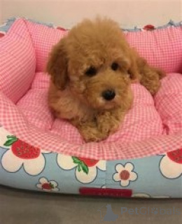 Photo №1.  - à vendre en ville de Ähtäri | Gratuit | Annonce №134885