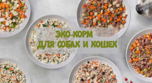 Photo №1. Nourriture écologique pour chiens et chats en ville de Moscou. Prix - 1€. Annonce № 3971
