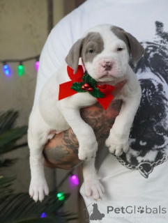 Photo №1.  - à vendre en ville de Uppsala | négocié | Annonce №160712