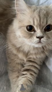 Photo №3. Tbilissi. Georgia