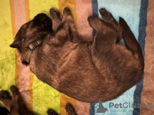 Photo №3. Jakub fořt. République Tchèque