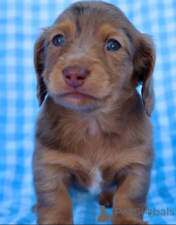 Photo №1.  - à vendre en ville de Achenkircch | négocié | Annonce №155085