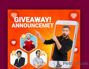 Photo №1. bobtail américain à longs poils - à vendre en ville de Tiline | Gratuit | Annonce № 143303