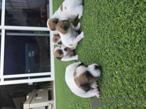 Photo №3. Ashdod. Israël