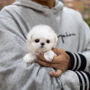 Photo №4. Je vais vendre  en ville de Hong Kong.  - prix - 727€